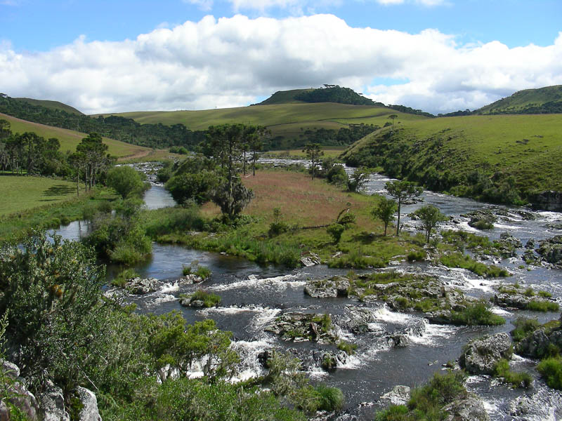 r. silveira2