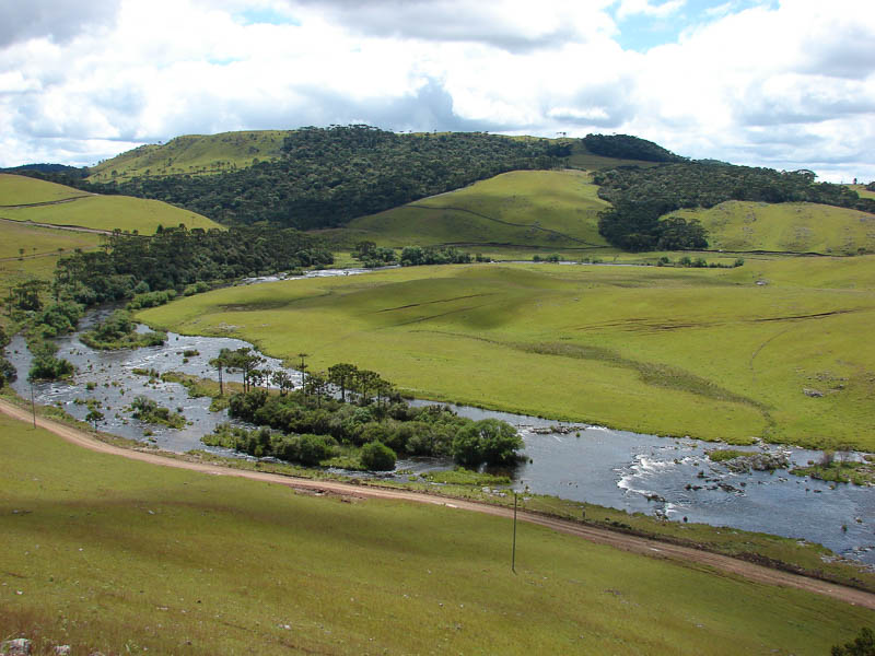 r. silveira4